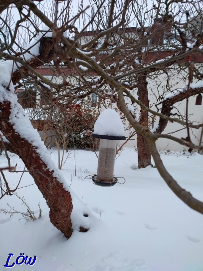 21.1.2023 - Mehr als 10 cm Neuschnee